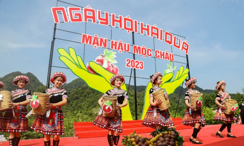 Moc Chau Fruit Picking Festival