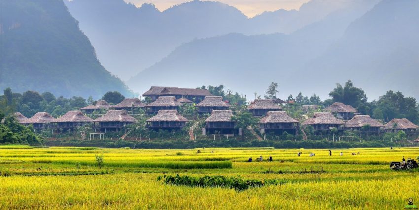 Ban Lac - The village you must-visit in Mai Chau