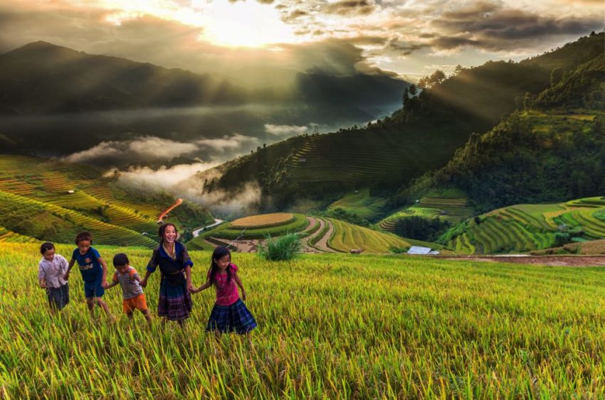 Vietnamese's Terraced Rice Fields: A stairway to heaven