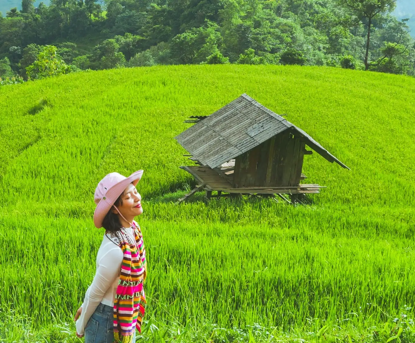 Trek through the Rice Terraces in Sapa